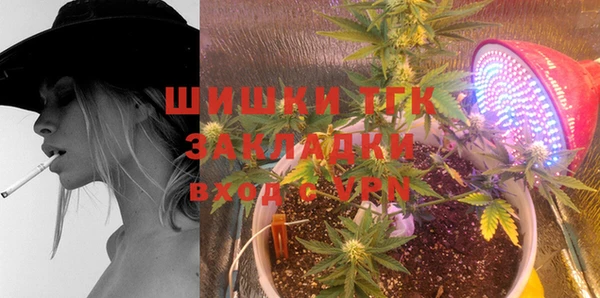 прущие грибы Арсеньев