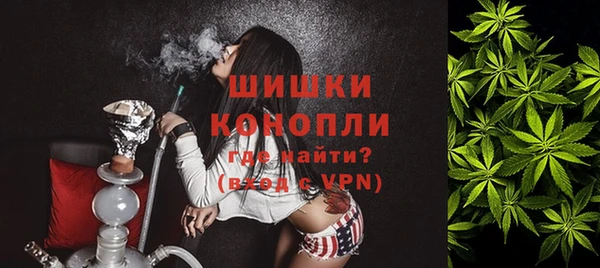 прущие грибы Арсеньев